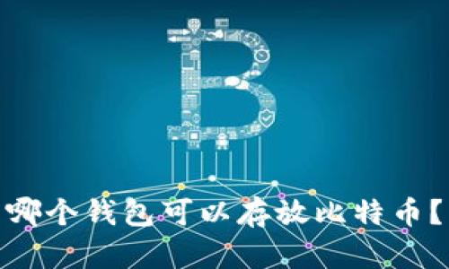 哪个钱包可以存放比特币?