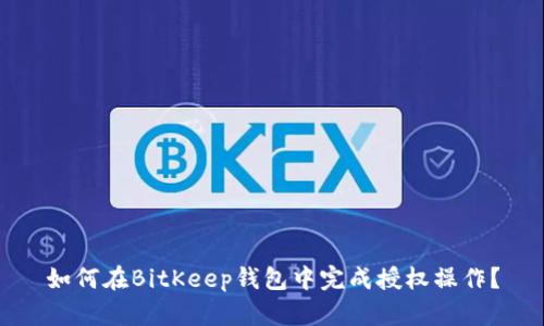 如何在BitKeep钱包中完成授权操作?
