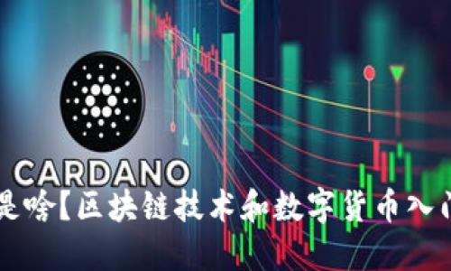 币圈是啥?区块链技术和数字货币入门指南