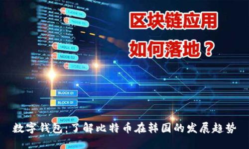 数字钱包:了解比特币在韩国的发展趋势