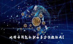 比特币钱包私钥由多少位数组成?