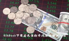 BitDock下载后无法打开问题的解决方法