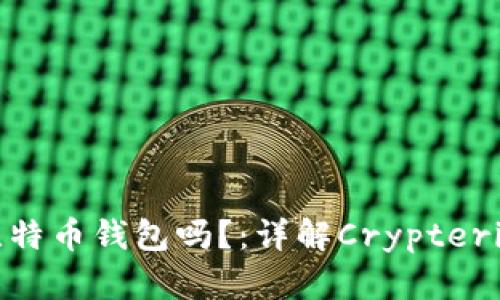 Crypterium是比特币钱包吗?:详解Crypterium的功能和特点