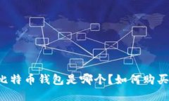 李晨的比特币钱包是哪个?如何购买比特币?