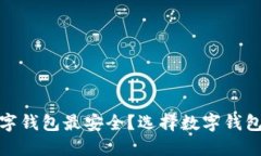 哪种数字钱包最安全？选择数字钱包需谨慎