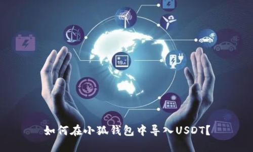 如何在小狐钱包中导入USDT?