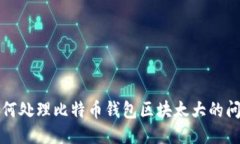 如何处理比特币钱包区块太大的问题