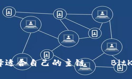 如何选择适合自己的主链——BitKeep钱包