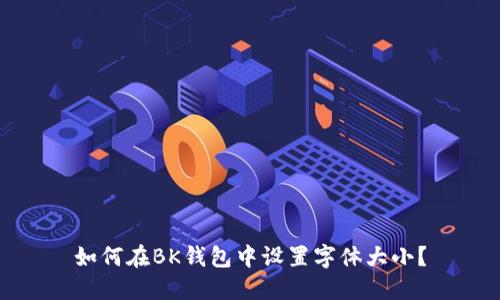 如何在BK钱包中设置字体大小?