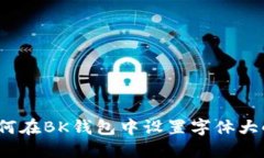 如何在BK钱包中设置字体大小?
