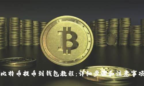比特币提币到钱包教程:详细步骤和注意事项