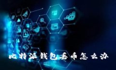 比特派钱包丢币怎么办