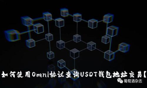 如何使用Omni协议查询USDT钱包地址交易?
