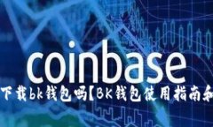 苹果手机可以下载bk钱包吗?BK钱包使用指南和常
