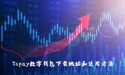 Topay数字钱包下载地址和使用方法