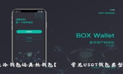 USDT钱包是冷钱包还是热钱包? │ 常见USDT钱包类