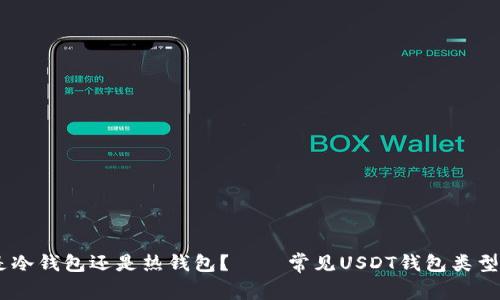 USDT钱包是冷钱包还是热钱包? │ 常见USDT钱包类型及使用场景