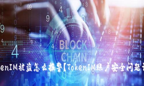 TokenIM被盗怎么报警?TokenIM账户安全问题详解