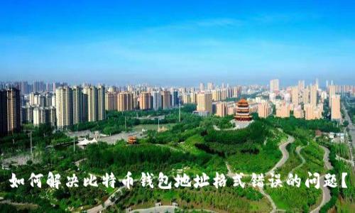 如何解决比特币钱包地址格式错误的问题?