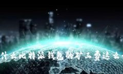 为什么比特派钱包的矿工费这么贵?