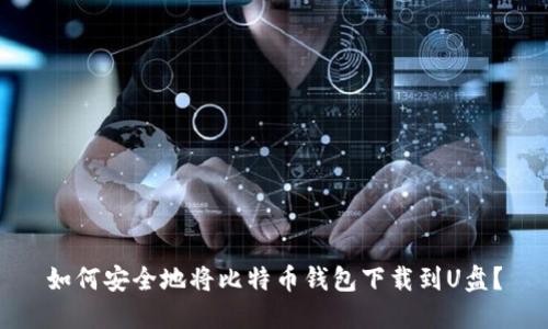 如何安全地将比特币钱包下载到U盘?