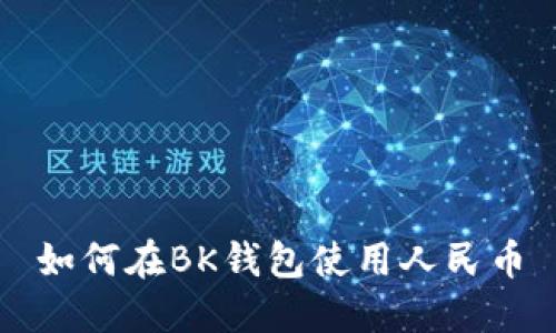 如何在BK钱包使用人民币