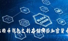 比特币钱包支持存储哪些加密货币?