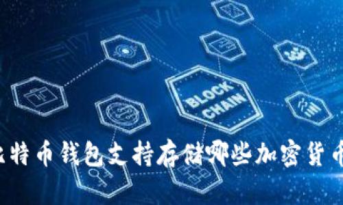 比特币钱包支持存储哪些加密货币?
