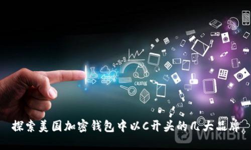 探索美国加密钱包中以C开头的几大品牌