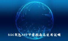 BSC钱包APP下载指南及使用说明