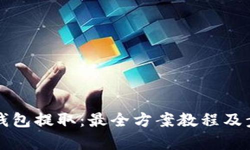比特币钱包提取:最全方案教程及步骤解析