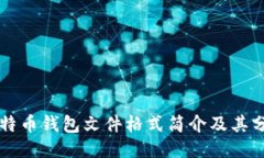 比特币钱包文件格式简介及其分类