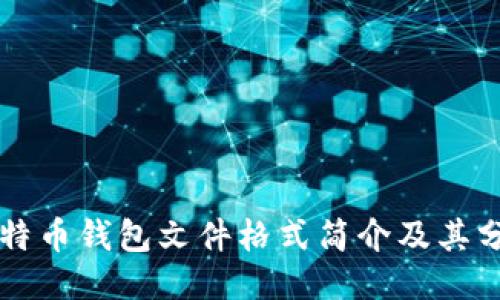 比特币钱包文件格式简介及其分类