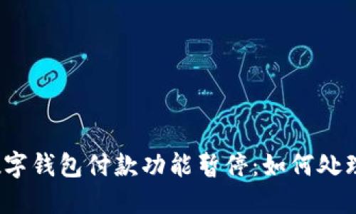 数字钱包付款功能暂停:如何处理?