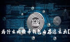 为什么比特币钱包内存这么大?