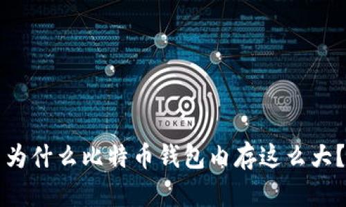 为什么比特币钱包内存这么大?