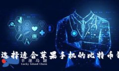 如何选择适合苹果手机的比特币钱包?