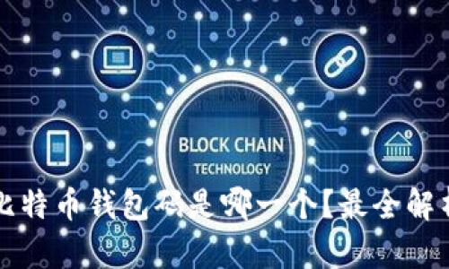 比特币钱包码是哪一个?最全解析