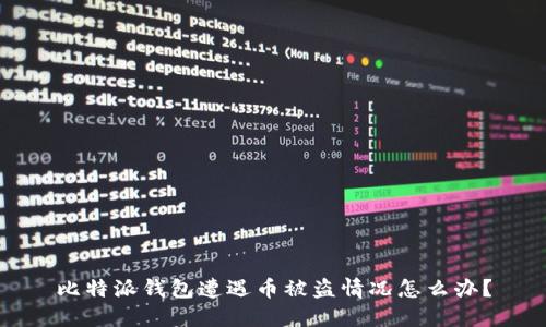 比特派钱包遭遇币被盗情况怎么办?