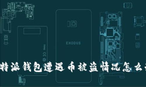 比特派钱包遭遇币被盗情况怎么办?
