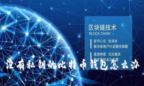 没有私钥的比特币钱包怎么办