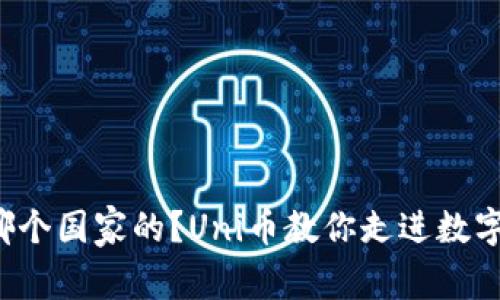 Uni币是哪个国家的?Uni币教你走进数字货币世界