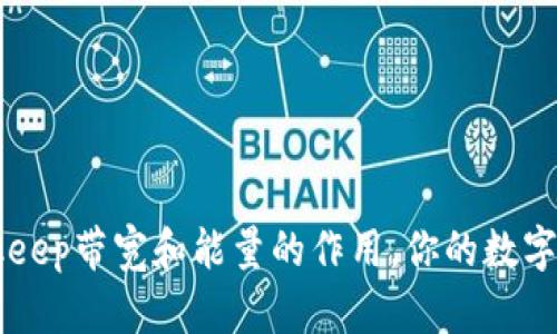 了解bitkeep带宽和能量的作用,你的数字货币交易