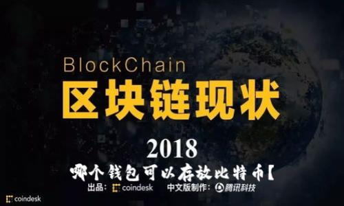 哪个钱包可以存放比特币?
