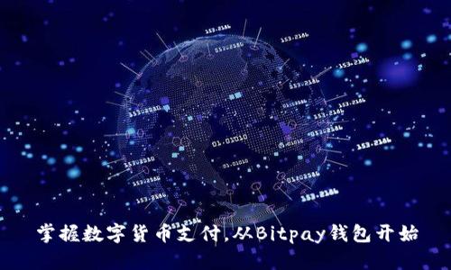 掌握数字货币支付,从Bitpay钱包开始