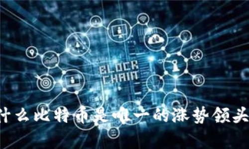 为什么比特币是唯一的涨势领头羊？