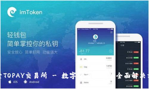 探索TOPAY交易所 - 数字货币买卖的全面解决方案