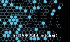 BK钱包资产丢失,如何找回?