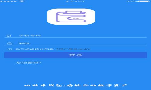 比特币钱包:存放你的数字资产