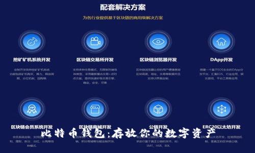 比特币钱包:存放你的数字资产